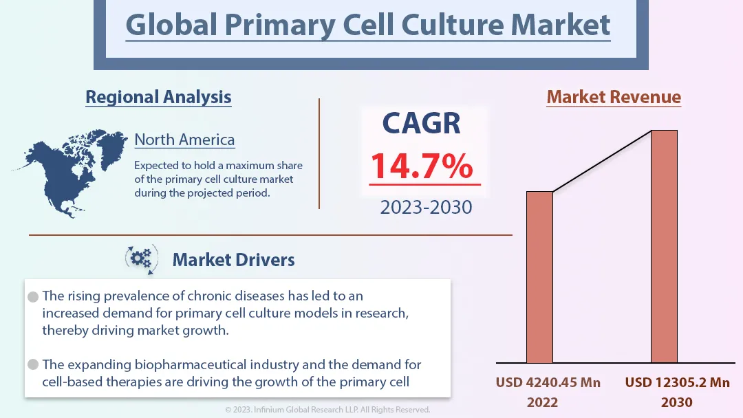 Primary Cell Culture Market Size, Share, Trends, Industry | IGR