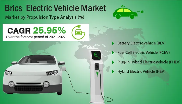 electric vehicle market