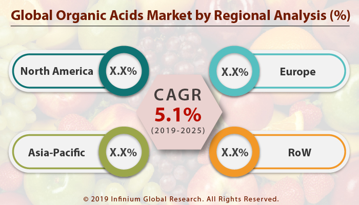 Global Organic Acids Market