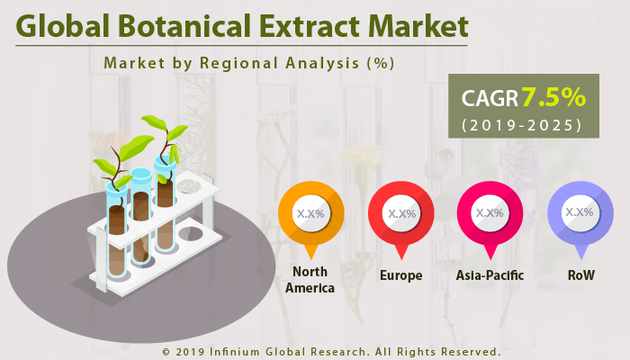 Global Botanical Extract Market