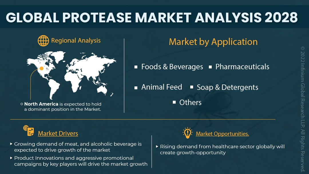 Protease Market