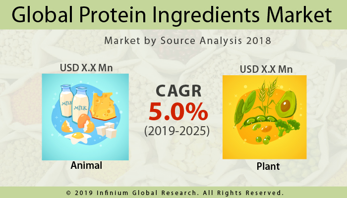 Global Protein Ingredients Market