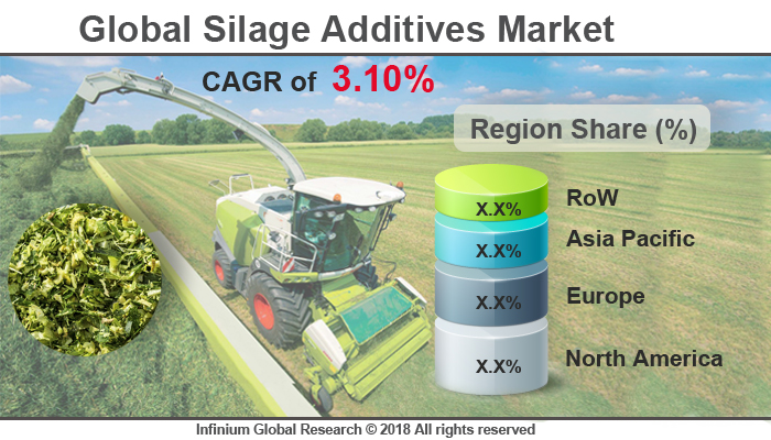 Global Silage Additives Market