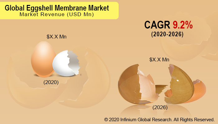 Global Eggshell Membrane Market