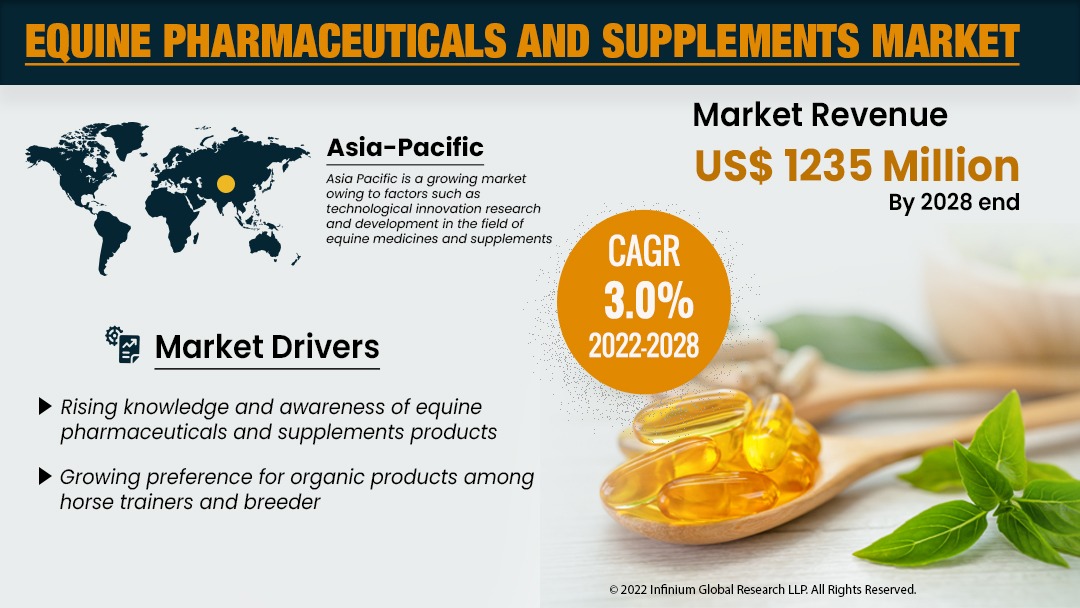 Equine Pharmaceuticals and Supplements Market