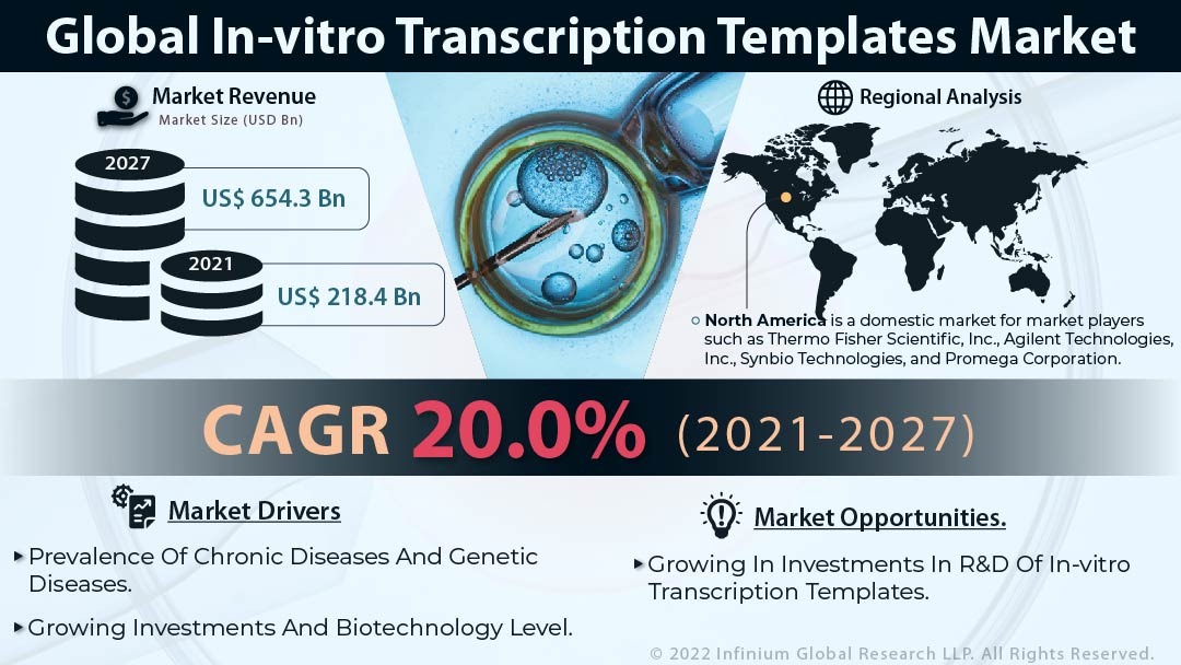  In-vitro Transcription Templates Market
