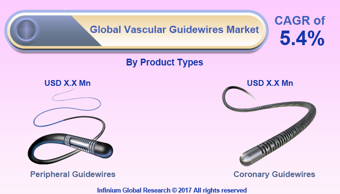 Vascular Guidewires Market