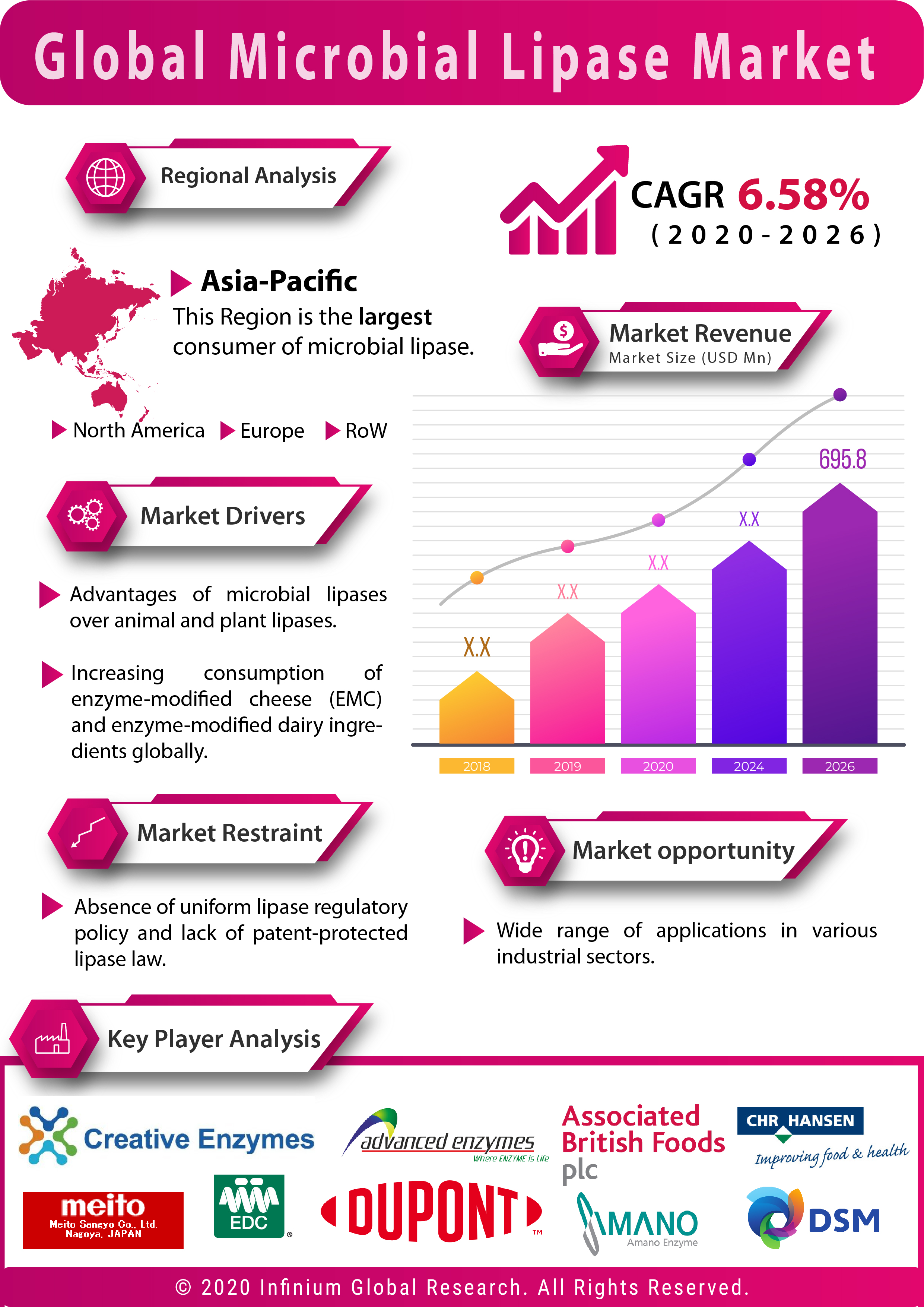 Infograph - Global Microbial Lipase Market